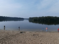2015-08-11 10.43.18.jpg